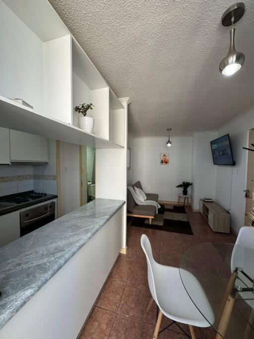 Apartamento Departamento Ideal En La Serena